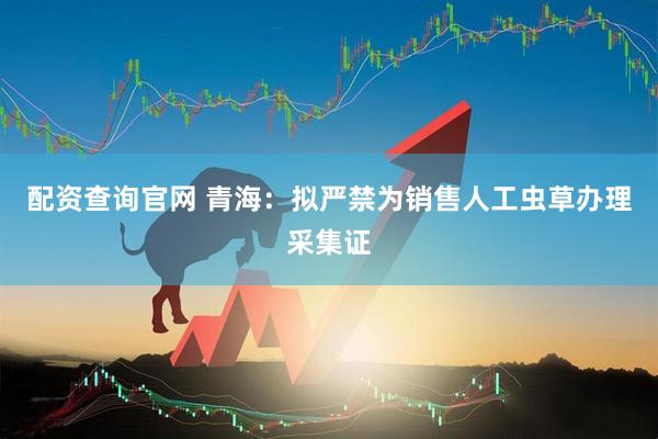 配资查询官网 青海：拟严禁为销售人工虫草办理采集证