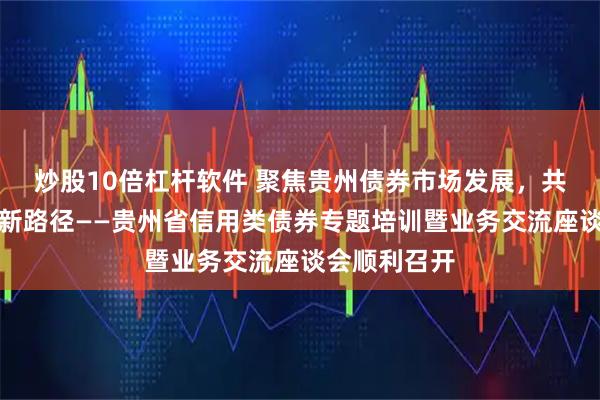 炒股10倍杠杆软件 聚焦贵州债券市场发展，共话产融协同新路径——贵州省信用类债券专题培训暨业务交流座谈会顺利召开